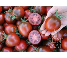 Tomate Paul Robson biologique