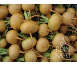 Navet de printemps - Petrowski/Ludowski - BIODYNAMIQUE - 50% de remise - germination réduite