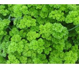 Persil - Moskrul 2  - BIO