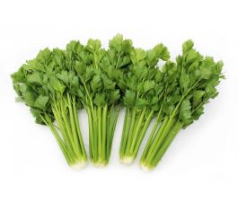 Céleri à côtes de Machel - BIO