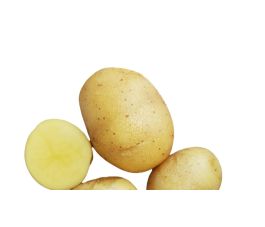 Plants de pomme de terre - Oscar - 30/40 - BIO