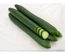 Concombre, Arola 0,3g (6-8 graines)