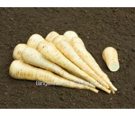 Panais - Aromata - BIODYNAMIQUE