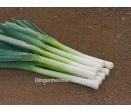 Poireau d'été - Hilari - BIODYNAMIQUE - 50% de remise - germination réduite