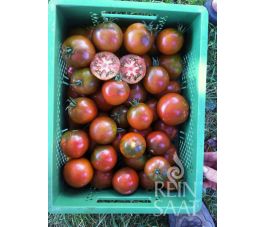 Tomate - Black Trifele - BIODYNAMIQUE - 50% remise - germination r&eacute;duite