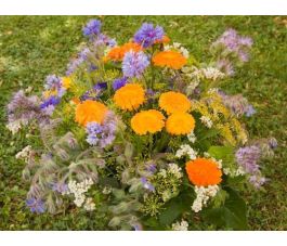 Fleurs de champs pour abeilles - 3 g à 1 kg - BIODYNAMIQUE