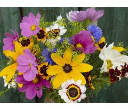 Mélange de fleurs d'été - Bauerngarten (Fleurs de jardin du ferme) - 1 à 100 g - BIODYNAMIQUE