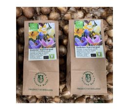 Mélange pour abeilles - 8 espèces - 25 bulbes - BIO