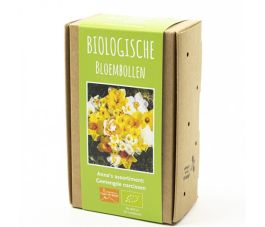 Assortiment d'Anna - Mélange de narcisses - 15 bulbes - BIO