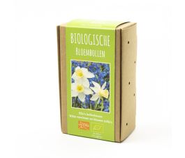 Choix de bulbes d'Ella - Narcisses blanches et scilles bleues - 30 bulbes - BIO