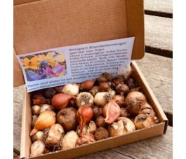 Boîte aux lettres Fleurs de printemps - 44 bulbes - BIO