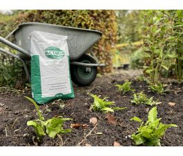 Farine de roche Actimin - 20 kg