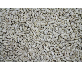 Graines de tournesol décortiquées 25kg - BIO