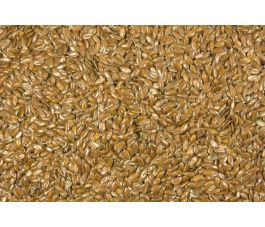 Graines de lin brunes 25 kg - BIO