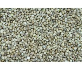 Graines de chanvre 5 kg - BIO
