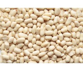 Cacahuètes - blanchies - 200g - BIO