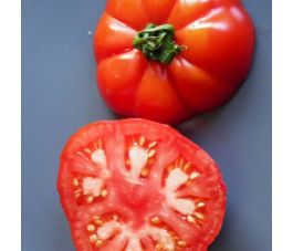 Tomate - Triomphe de Liège - BIO