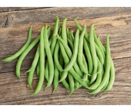 Haricot nain - Maxi - BIO