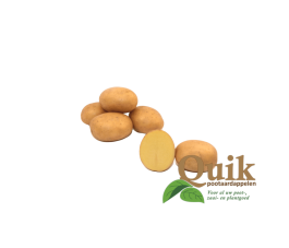 Plants de pomme de terre - Connect - taille A 28/35 - 1kg - BIO