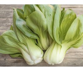 Pak Choï - Yorokobi - BIODYNAMIQUE