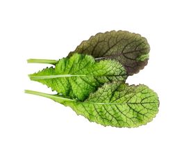 Salade Asia - Osaka Purple - BIO