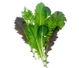 Salade Asia - Mélange de feuilles épicées - BIO