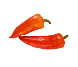 Poivron - Ferenc Tender - BIO