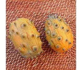 Concombre du Kénia - Kiwano - BIO