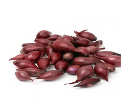 Plant d&rsquo;oignon - Red Baron 10/21 - BIO