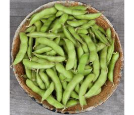 Graine de soja Edamame - Chiba Green - BIO
