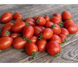 Tomate prune - Donnavita - BIODYNAMIQUE