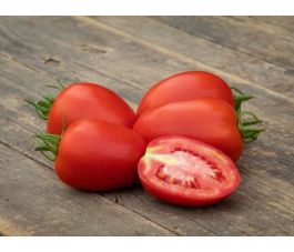Tomate prune - Rio Grande - BIODYNAMIQUE