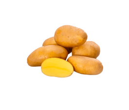 Plants de pomme de terre - Glorietta - taille A 28/30 - 1kg - BIO