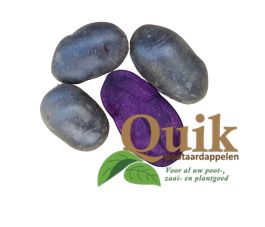 Plants de pomme de terre - Vitanoire - taille B 30/40 - 1kg - BIO