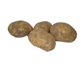 Plants de pomme de terre - Agria - taille A 28/35 - 1kg - BIO