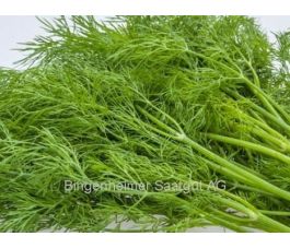 Aneth - Disque - BIODYNAMIQUE