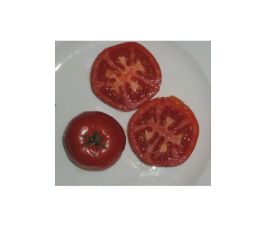Tomate - Potager de Vilvorde - BIO