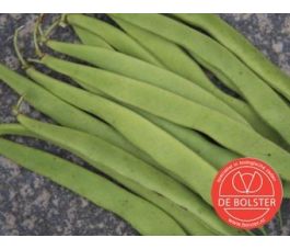 Haricot nain à hacher - Nassau - BIO