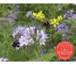 Bloemenmengsel, Tübinger *