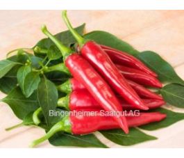 Piment - De Cayenne - BIODYNAMIQUE
