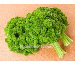 Persil - Mooskrause 2 - BIODYNAMIQUE