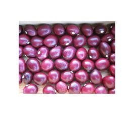 Haricot - Coco rose de la Meuse - BIO