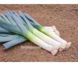 Poireau - Freezo - BIO