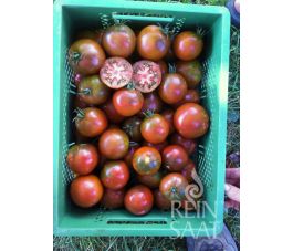 Tomate - Black Trifele - BIODYNAMIQUE