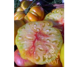 Tomate - German Gold - BIODYNAMIQUE
