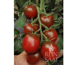 Tomate, Paul Robson
