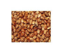 Haricot sec - Borlotto lingua di fuoco 2 (Borlotti) - BIO