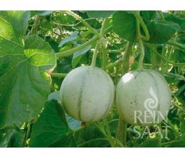 Melon - Charentais - BIO