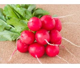 Radis - Marike - BIODYNAMIQUE - 50% de remise pour cause de germination réduite