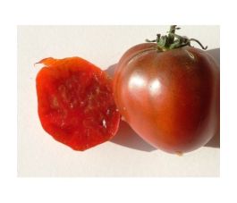 Tomate - Black Prince - BIO